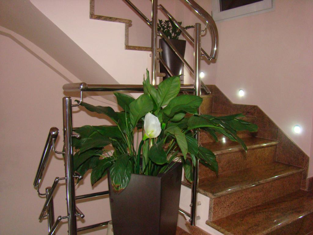 Apartments Ledic Krvavica Dış mekan fotoğraf